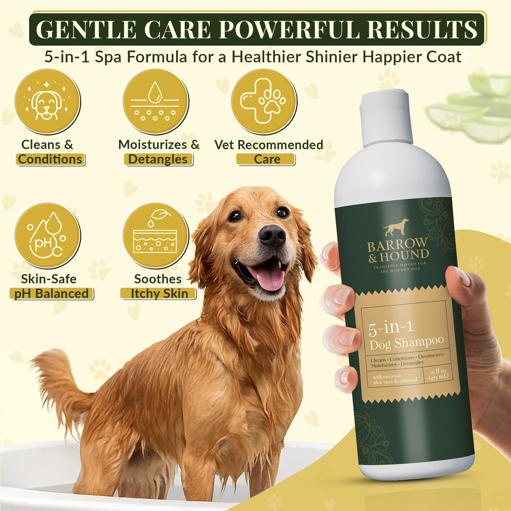 5-in-1 Dog Shampoo – Cleans, Conditions, Deodorizes, Moisturizes & Detangles – with Coconut, Oatmeal & Aloe – for Sensitive Skin – 16 fl oz