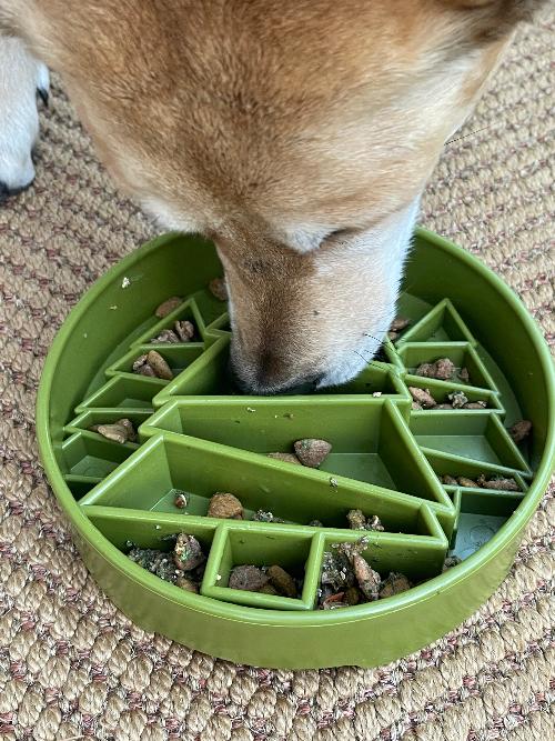 Pine Tree Christmas eBowl Deep Slow Feeder Dog Bowl for Enrichment | USA Made