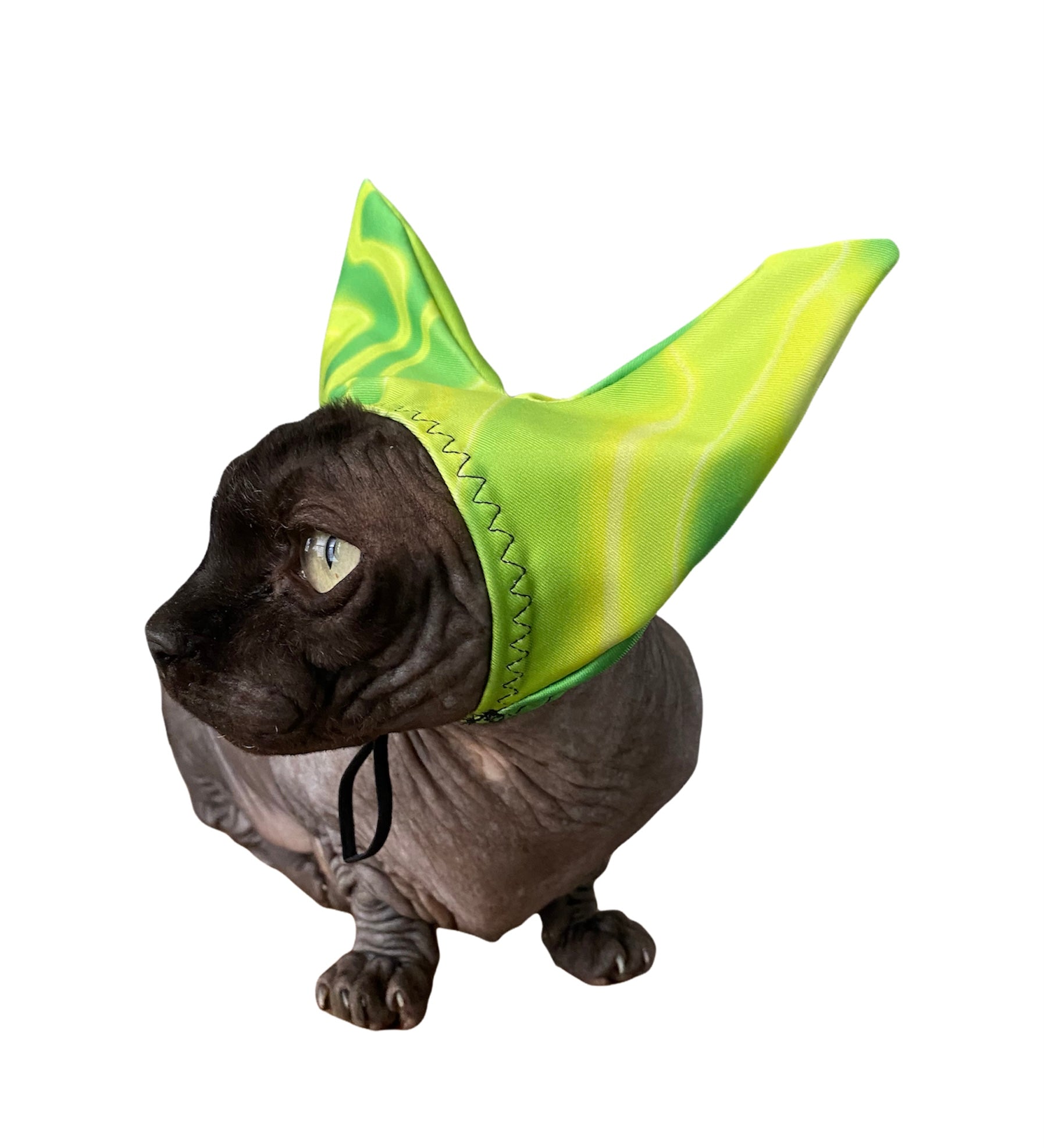 4-ALL PETS SHOWER / EAR / SUN CAP