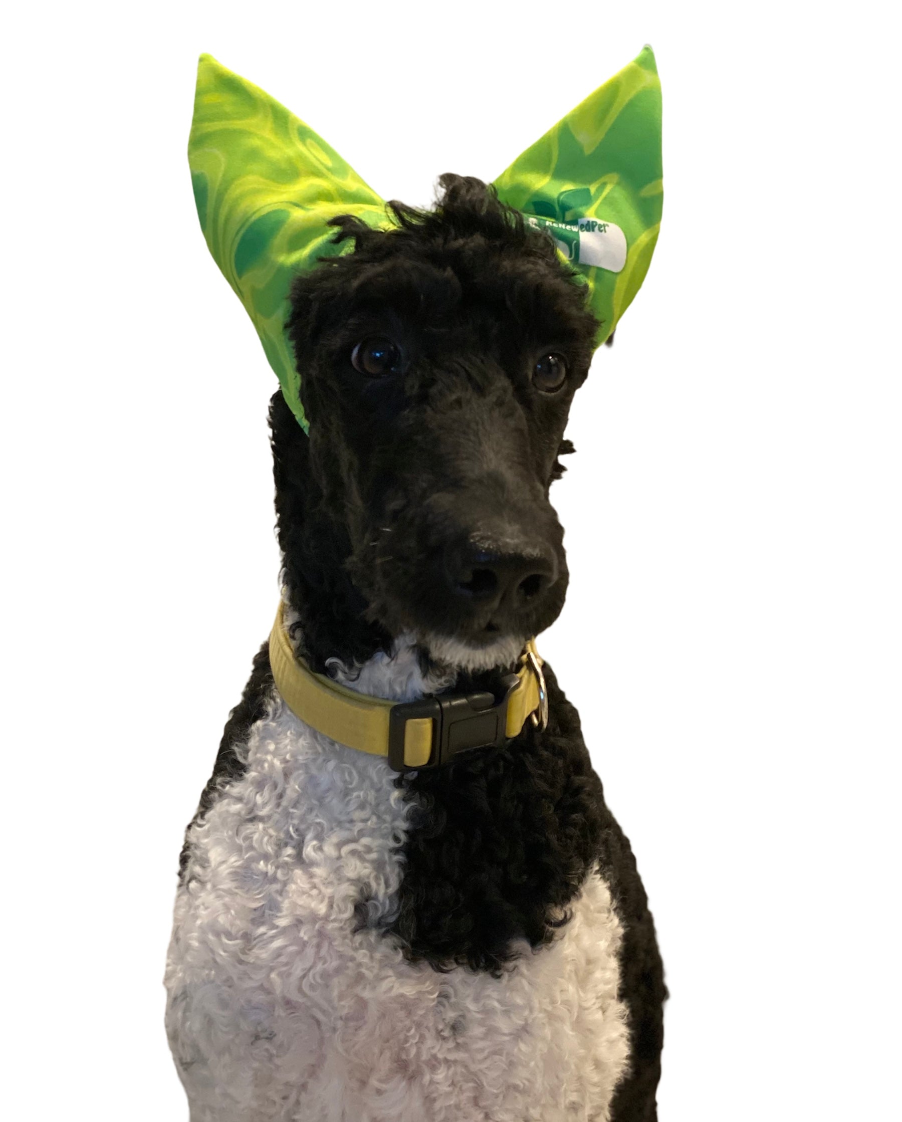 4-ALL PETS SHOWER / EAR / SUN CAP