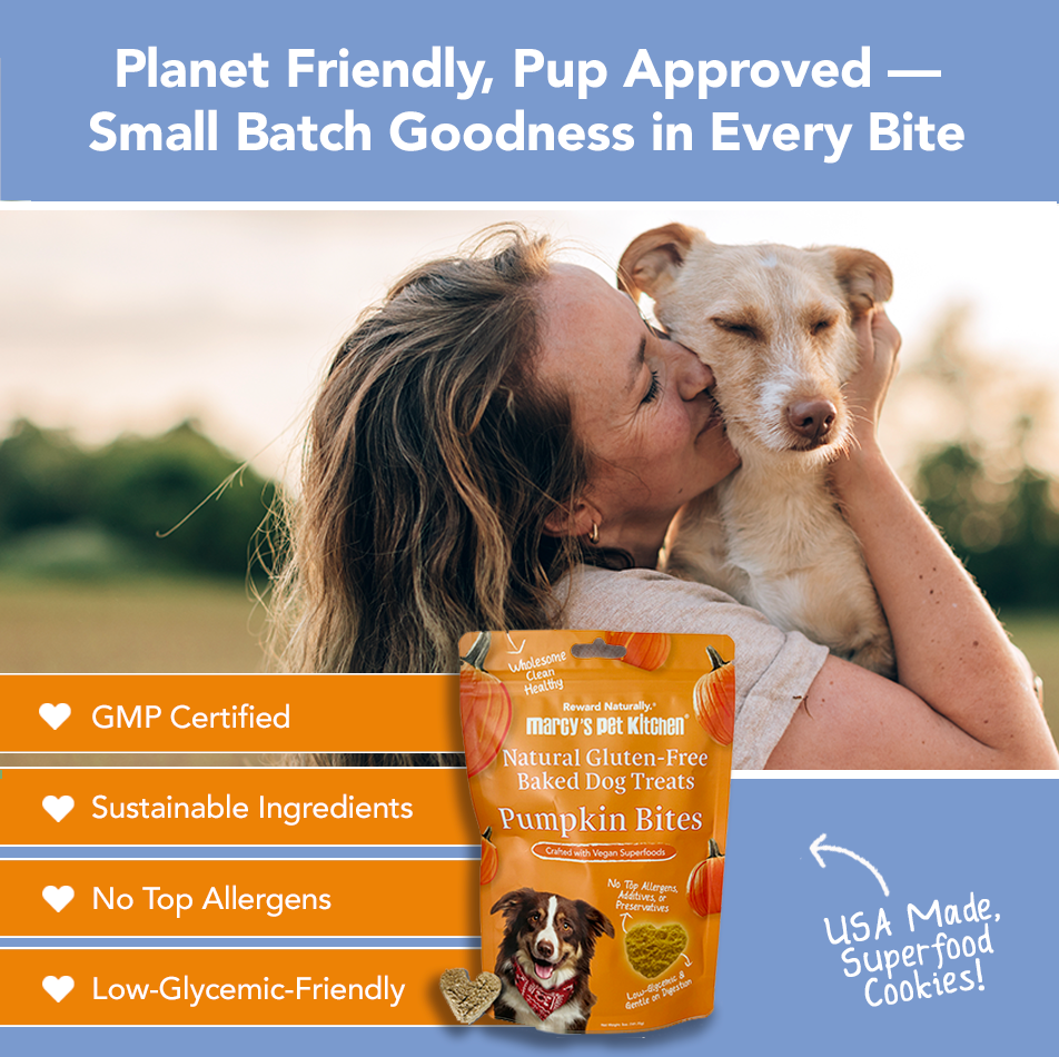 Marcy's Pet Kitchen- All Natural, Vegan Pumpkin Biscuit Dog Treats - Homemade-Vet Approved- Vegan, Gluten Free, Human Grade Ingredients, Made in The USA, Healthy Pumpkin Dog Treats