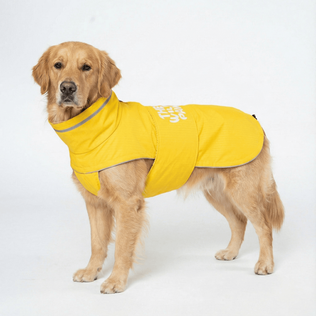 WildGuard Yellow Waterproof Lightweight Reflective Rain Coat