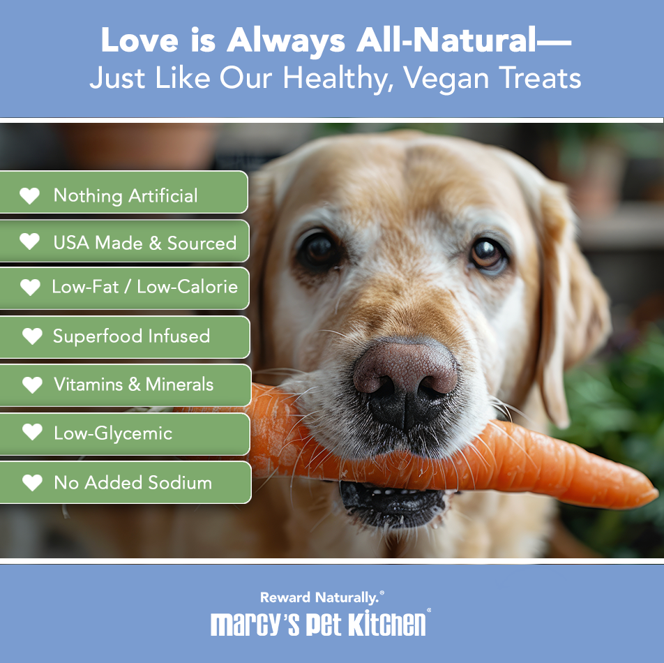 Marcy's Pet Kitchen® - 'On-The-Go' All-Natural, Vegan Veggie Biscuit 1 oz Healthy Dog Treats
