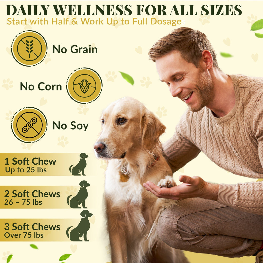 Allergy & Immune Bites for Dogs – Colostrum, Probiotics & Omega-3 – Seasonal Allergy & Itchy Skin Relief – Peanut Butter Flavor