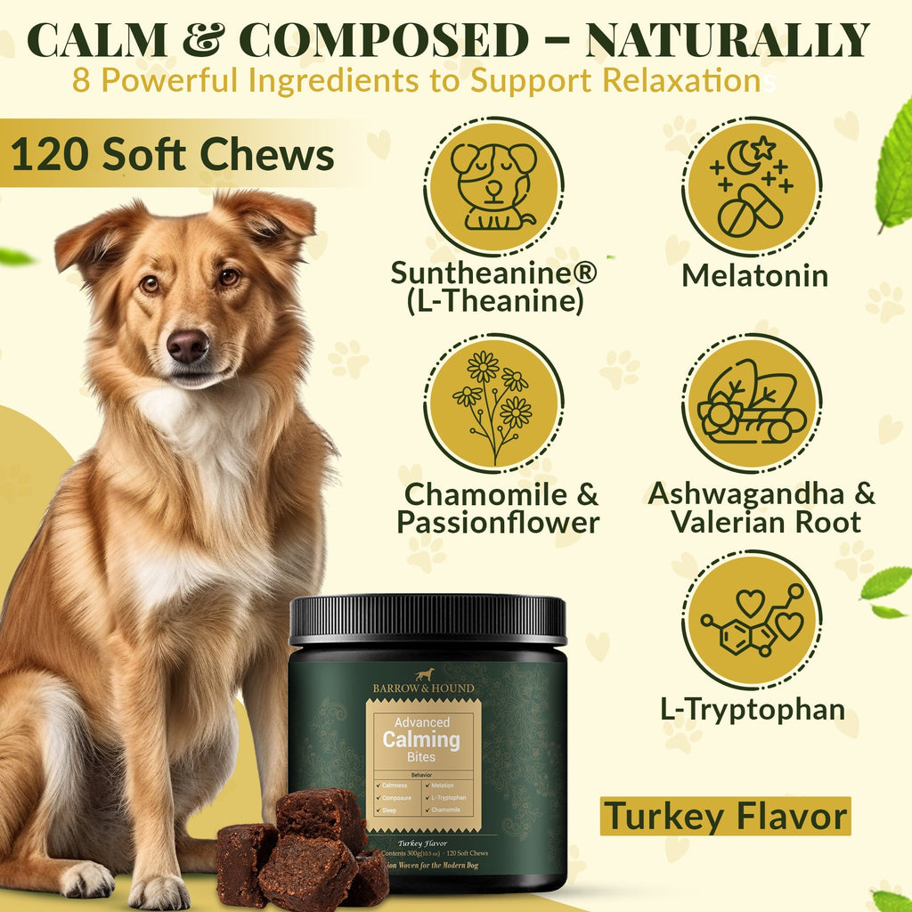 Calming Bites for Dogs – Stress & Anxiety Relief