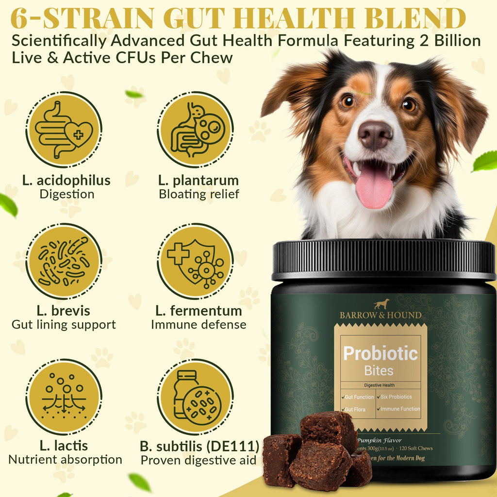 Probiotic Bites for Dogs – Gut Health & Digestive Support